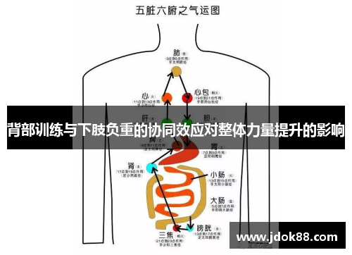 背部训练与下肢负重的协同效应对整体力量提升的影响